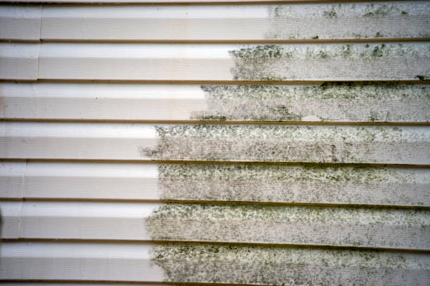 Best Steel Siding Installation  in Redland, AL