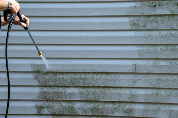 Best Brick Veneer Siding  in Redland, AL