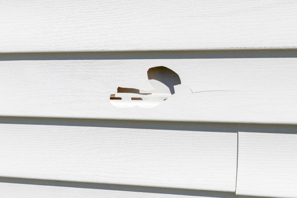 Affordable siding repair and maintenance services in Redland, AL